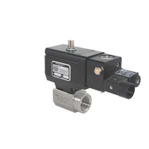1/2" 76-6-RTV/R-6 Stainless Steel ball valve - performance series NPT DN15