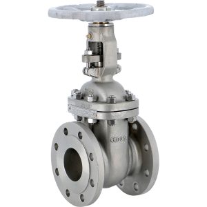 Cast stainless steel CF8M gate valve GV148 RF PN16 DIN F4 - DN200