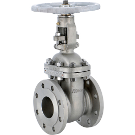 Cast stainless steel CF8M gate valve 148 RF PN16 DIN F4