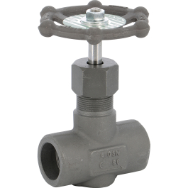 Carbon steel A105N needle valve 486 3000 psi SW
