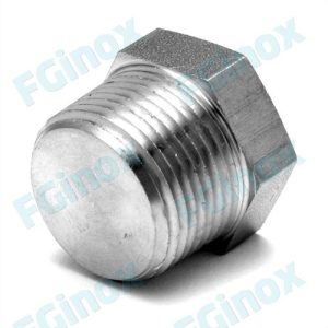 GVBM-Hexagonal plug 3/4 Inch NPT 316L