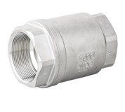 Lift Check Valve 69bar/1000PSI 304 3/4"BSPT