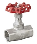 Globe Valve 200PSI 316 2"BSPT